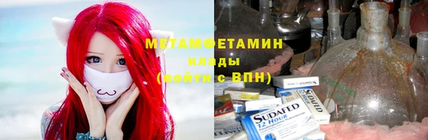 прущие грибы Верхний Тагил
