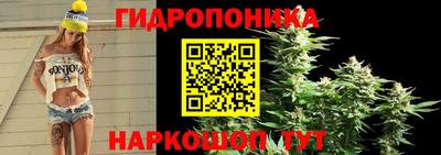 гидропоника Можайск