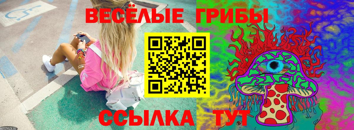 Галлюциногенные грибы Cubensis  Вход с VPN  Славянск-на-Кубани 