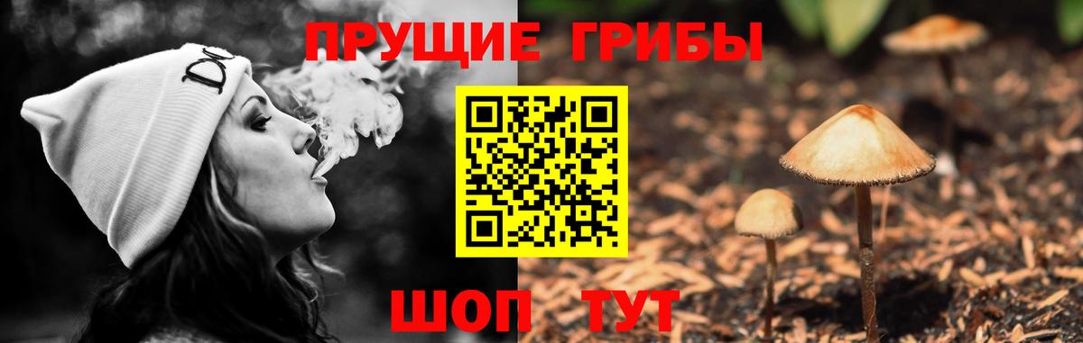 Псилоцибиновые грибы Magic Shrooms Славянск-на-Кубани
